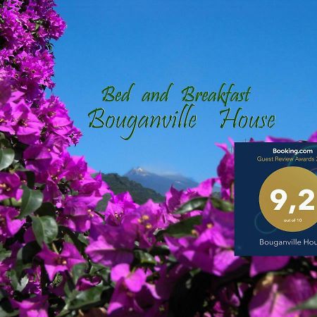 Bouganville House Zafferana Etnea Exteriér fotografie